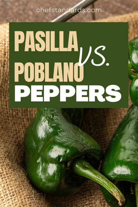 difference between pasilla and poblano chiles